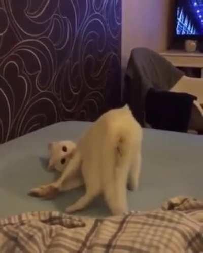 Необычная техника