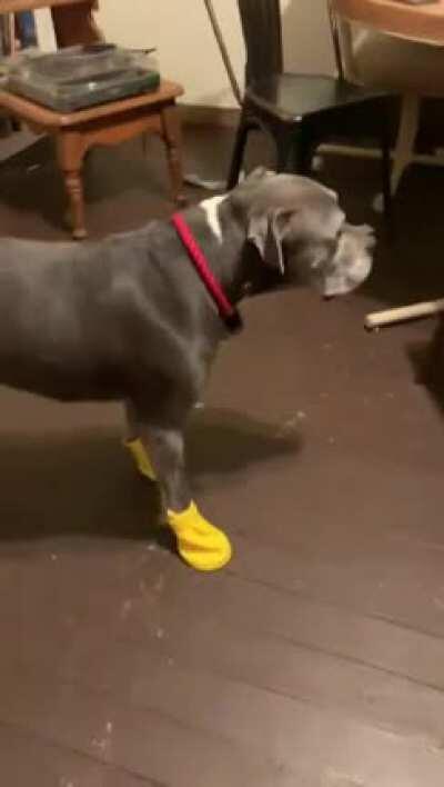 My friend added a great soundtrack to Lance getting used to his new snow boots.