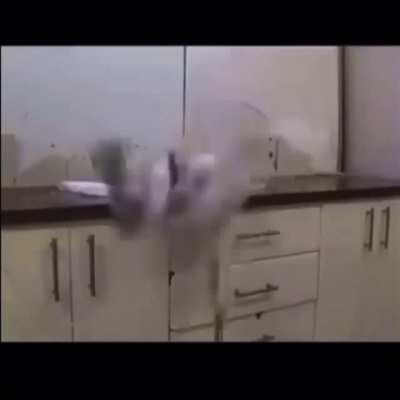 The best salmon recipe