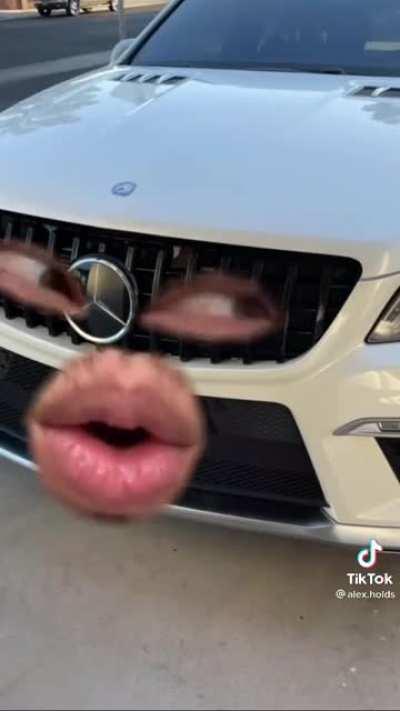 Do cats belong on here?