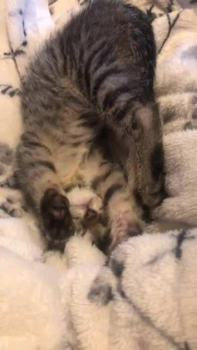 My baby used to make biscuits in her sleep 🥰