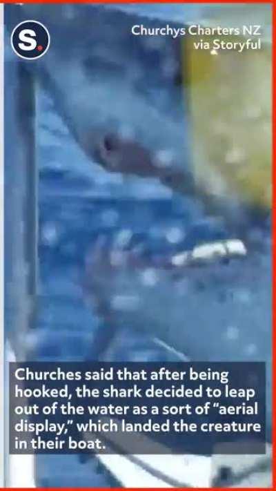 A group of people on a fishing charter off Whitianga, New Zealand, were startled and stunned when a large mako shark leaped out of the water and landed on the front of the boat!