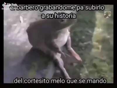 se le ve bien fresco a mi pana carlitos