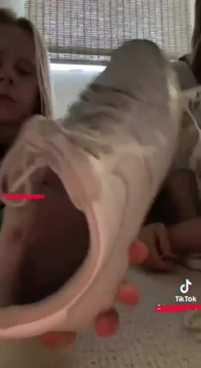 Do you think you can make it to the end without exploding?