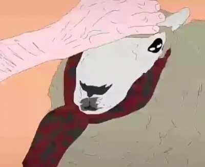 Así es como consiguió la bufanda Oscar