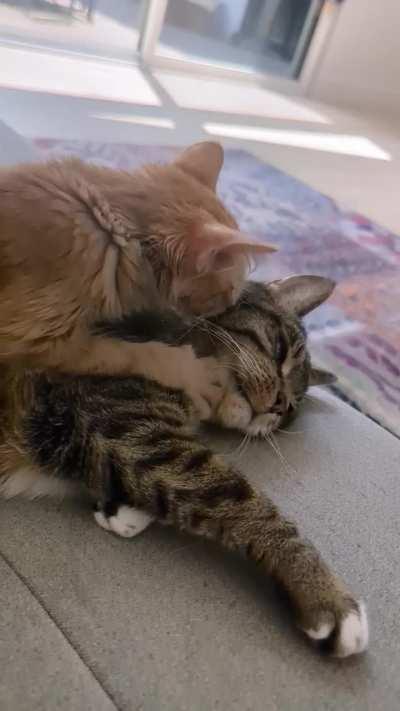 Logan is a paragon of patience