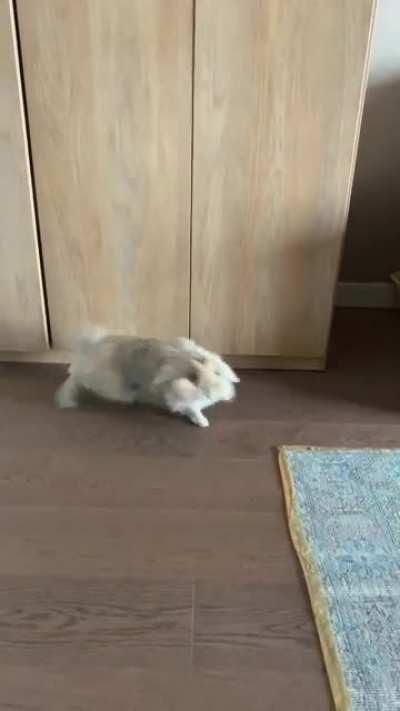 i guess i have lived enough😔