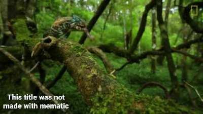 This is the only way to eat popcorn, and I'm tired of pretending it isn't!