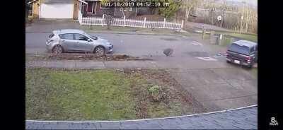 Robbing a guy at gun point then getting run over