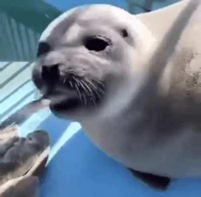 The snack was delicious the smile confirms it