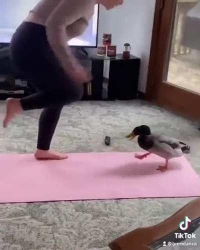 Let her do her yoga, Dude!