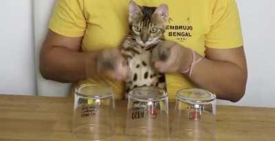 Enseñale a Wilson hacer eso xd