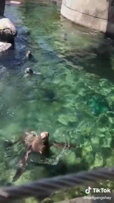 Wait for it wait for it