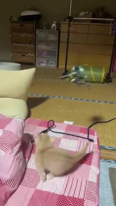 AoT Part 2 of the final season leaked