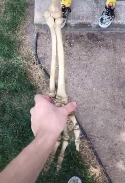 This is how the arm bones cross when you put your hand forward.