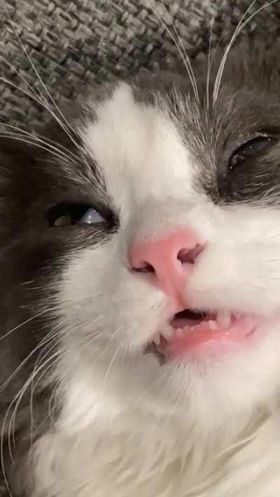 Yes, he’s sleeping. No, he isn’t sedated.