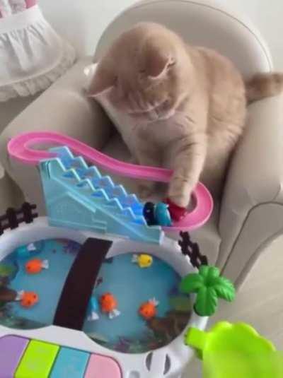 Игрушка для Котика