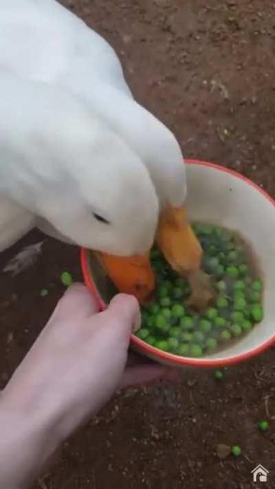 Now listen to it with your eyes closed