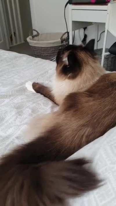 When the ceiling demon starts talking to you