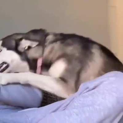 Oh yeah, that's the spot