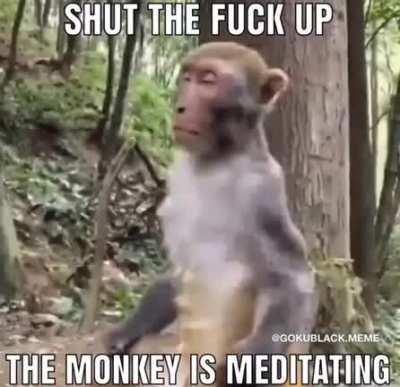 onlyfeminists - Video #0768