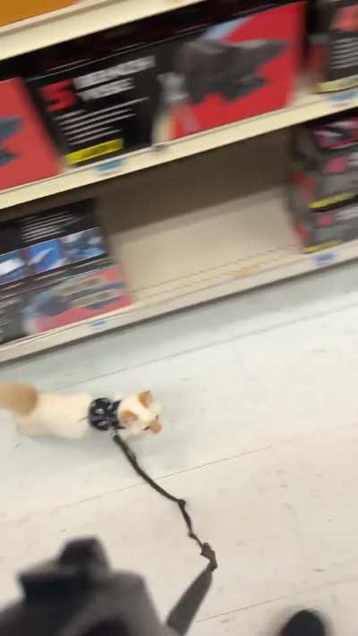 Opal had a good time today at Tractor Supply