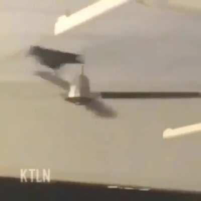 Hey, where's that bir-