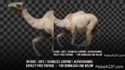 لحظة دسار الدهون لحظة الجنس (totly not porn) سوط ونعان على هؤلاء الكارهين ይህንን የቪዲዮ ቆጣቢ በመጠቀም ወርዷል