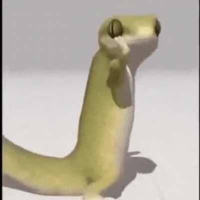 dancing gecko