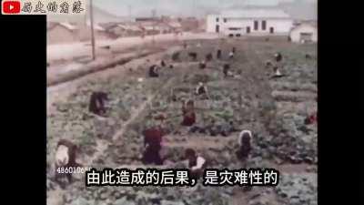 【经典回顾】历史记录片：大跃进怎么变成了大饥荒？（回顾中国党史之大饥荒岁月一）