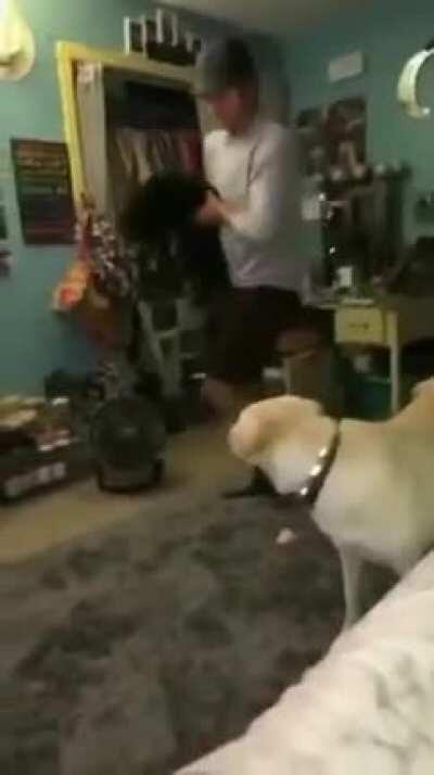 I bounce myself back in dumbass!