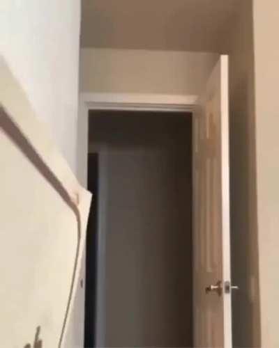 I am speed... Kerchew!