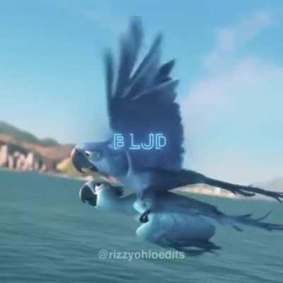 It's all about the mewing blud