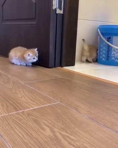 Here I come.... who’s here?