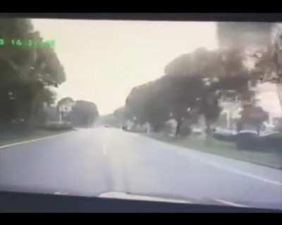 DylanteroYT - Video #3335