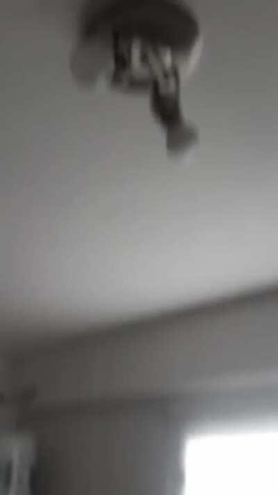 Creo que algo anda mal en donde me mudé hace 3 meses