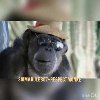Respect Monke...