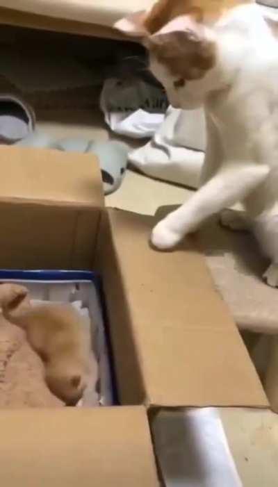 it sucks when parents dont have patience