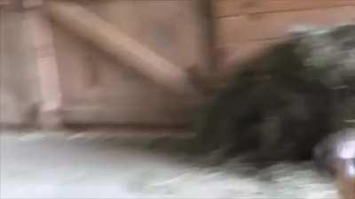 2 Cute Little Pajama Kids Prancing & Jumping!