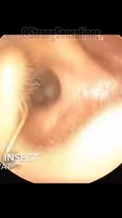 That must have been such a relief