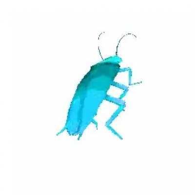 Download the Dancing roach here