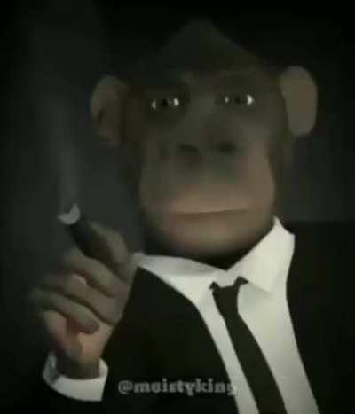 monkey knows