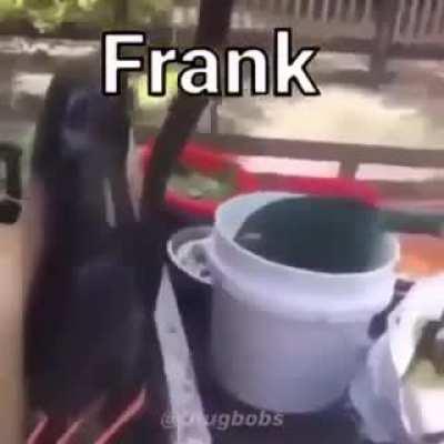 Frank