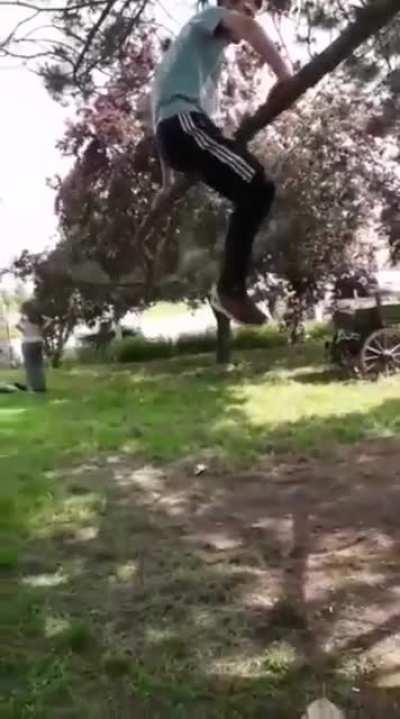 WCGW Sitting on a tree branch