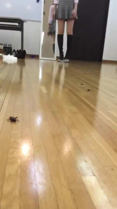 Kayo-sama crushing crickets with her boots