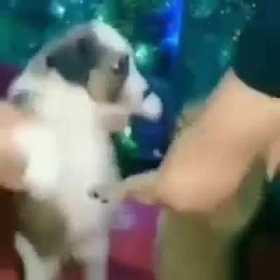 Posting stuff until the sub reaches 2k members day 8