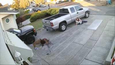 Should there be a law that dangerous breeds are muzzled when outside?