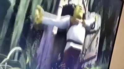 The best way to watch Shrek is with a bros