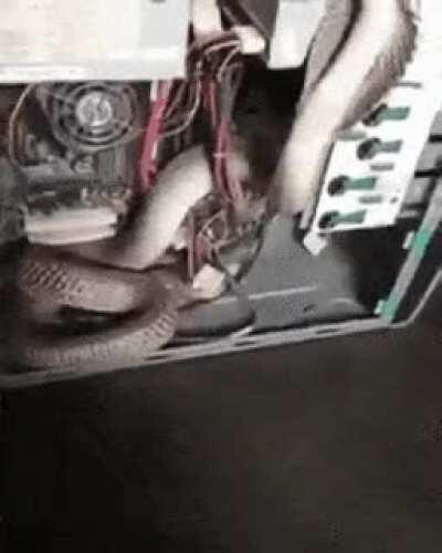 Wyr: Guardian of the Magic Heat Box