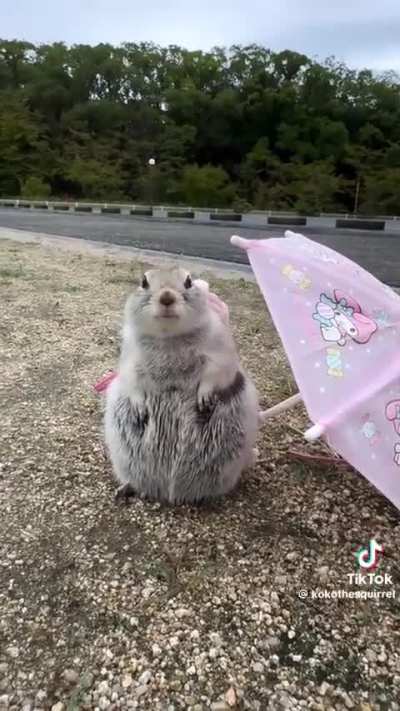 é o primeiro dia de aula dela, ela ta nervosa